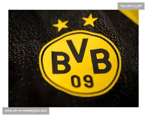 多特蒙德标志深度解读及高清图赏析探究其文化与意义 多特蒙德标志深度解读及高清图赏析探究其文化与意义