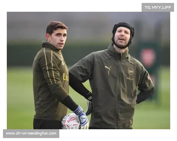 弗赖堡迎战桑德豪森赛前全面分析及胜算预测 弗赖堡迎战桑德豪森赛前全面分析及胜算预测